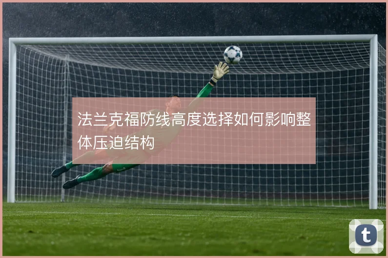 法兰克福防线高度选择如何影响整体压迫结构
